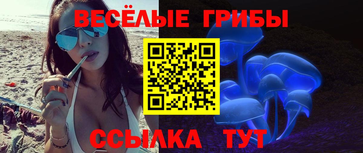 Галлюциногенные грибы Magic Shrooms Прокопьевск